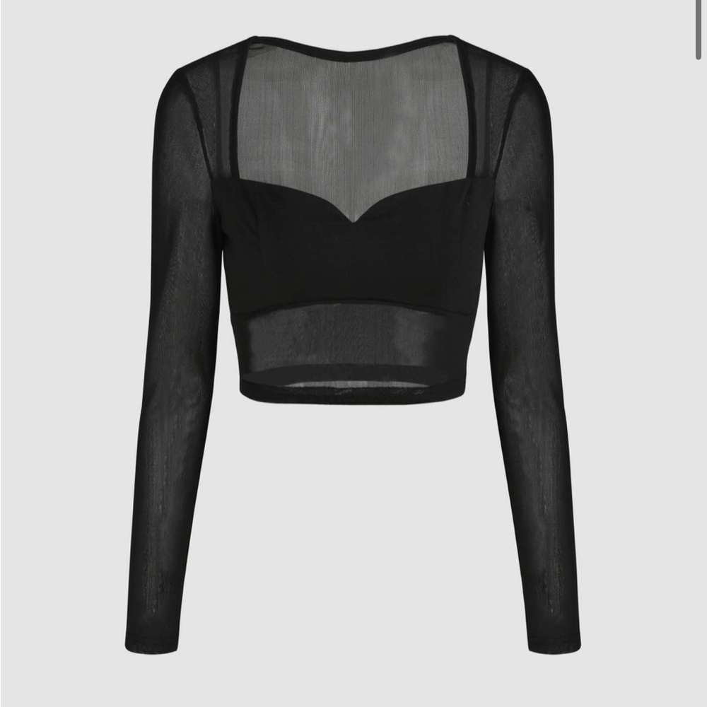 Mesh Long Sleeve Crop Top